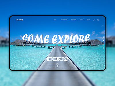 Travel Website Concept 2dart design landing page ui website concept