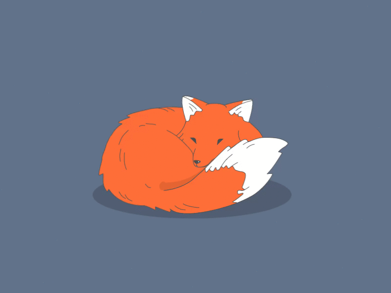 Fox ae after effect animation fox