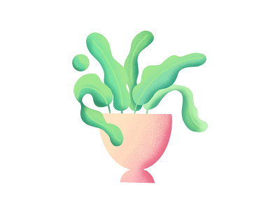 Indoor Plant hand drawn illustrator indian artist plant procreate vase