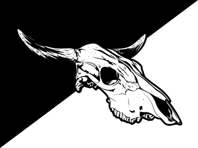 Skull cattle cow dead detailed illustration skull