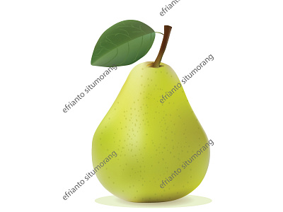 Pir 01 adobe illustrator pear popart realistic drawing vector