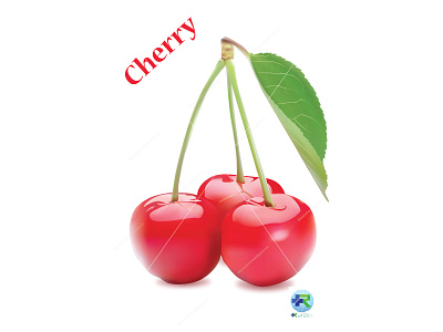 Cerry 01 adobe illustrator cherry design realistic drawing vector