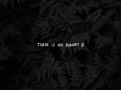 World Environment Day - There is no planet B aluxion design environment minimal natural nature photoshop poster sustainability sustainable