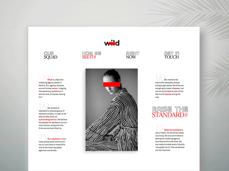 Wild MGMT aluxion animation fashion fig minimal modern photography ui ux webdesign