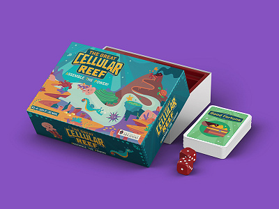 Cell Bio Baby! biology board design energy game illustration package product reef science toy