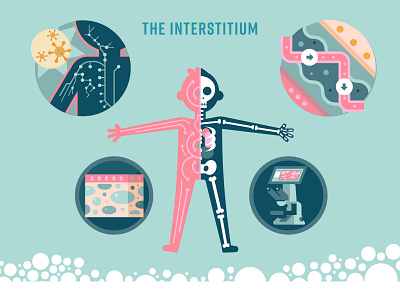 Introducing the Interstitium! body color health icon infographic information interstitium medicine organ research science vector