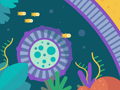 Hidden Endosome