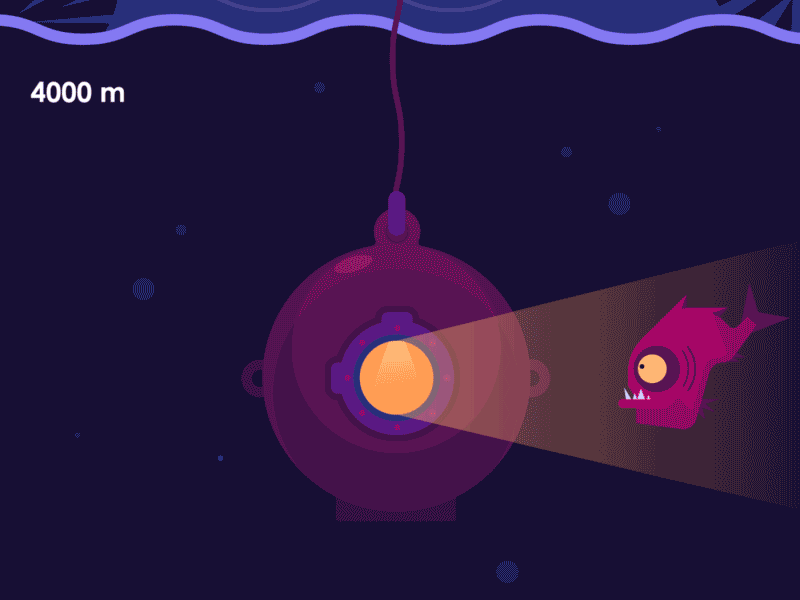 Vectober Day 12 - Whale by The Point Studio on Dribbble