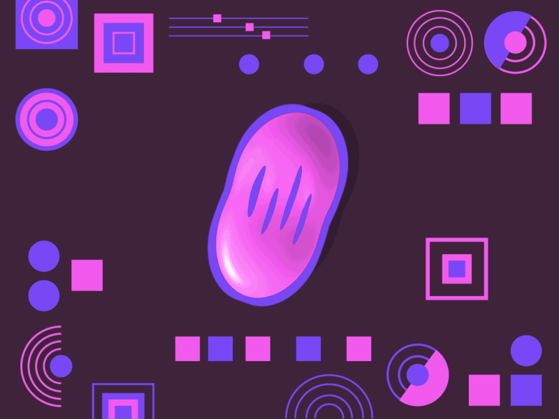 Vectober Day 29 - Double animation biology cell color double inktober jazz motiongraphic pointstudio vectober vector