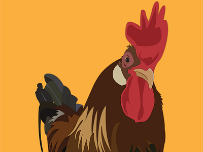 Rooster illustration from a photo I took at the NC State Fair