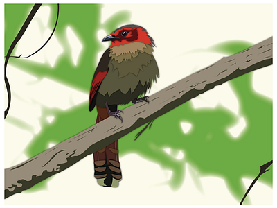 Illustration of a bird I photographed at the NC Zoo.
