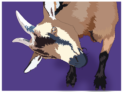 The GOAT! animals goat boy graphic design illustration