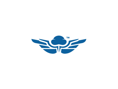 Spr acosta cloud identity java logo pilotwings wings