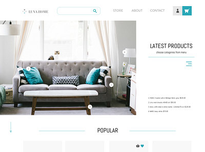 Furniture store design ui ux web