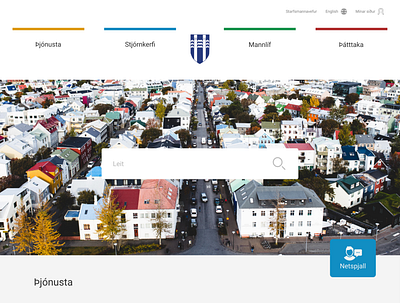 Reykjavik webpage design ui ux web