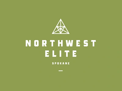 Northwest Elite branding icon logo spokane therapy typography vector washington