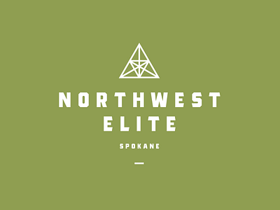 Northwest Elite branding icon logo spokane therapy typography vector washington