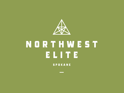 Northwest Elite branding icon logo spokane therapy typography vector washington