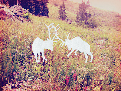Dueling Elk elk illustration logo nature