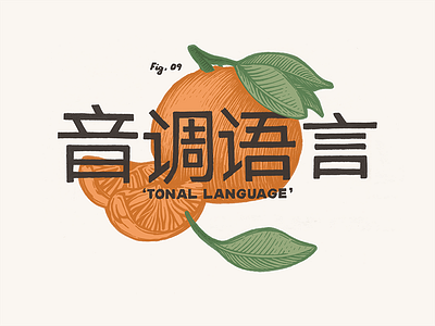 Tonal Language beer chinese design etching illustration label lettering orange