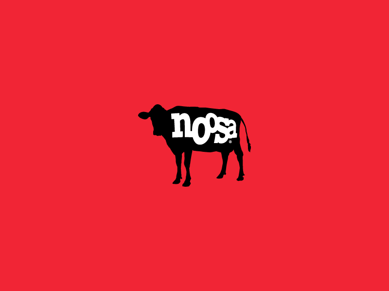 Noosa branding colorado cow design food lettering logo noosa typography yogurt