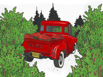 Cherry Truck cherry farm farmers market fresh fruit illustration truck vintage