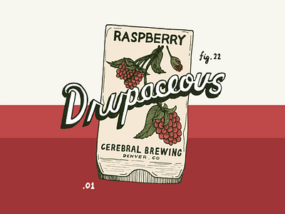 Drupaceous beer brewery illustration label design lettering raspberry seeds vintage