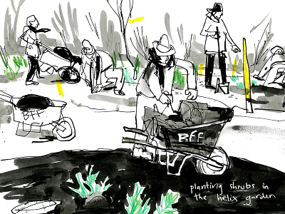 food forest ink live drawing reportage seattle