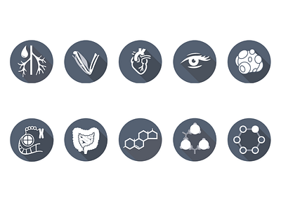 Web Badges badges icons illustration web