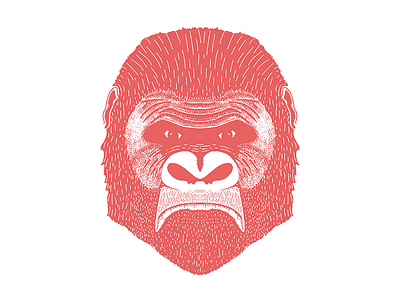 Detailed Gorilla animal branding character hand drawn illustration texture