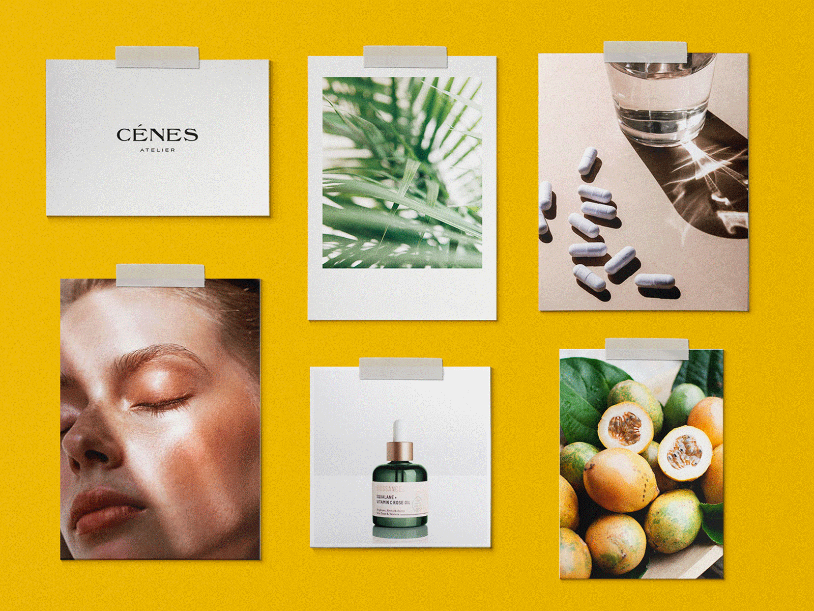 Moodboard Concepts beauty citrus glowing green jungle lush luxe luxury nature palm trees rainforest science selfcare serum skin skincare supplement vibes vibrant color yellow