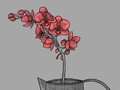 Flores neón 2 flor flower neon peonia peony procreate