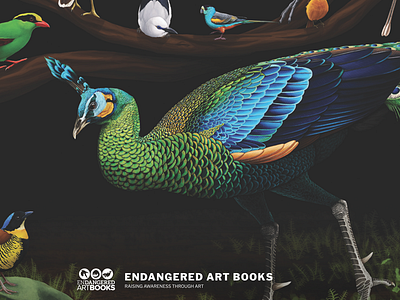 Endangered Art Books Logo & Website; Losing Altitude Book