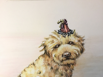 Watercolor Paintings of Pets