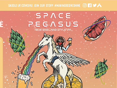 Space Pegasus Can beer beer can boone nc booneshine can design craft beer nc breweries