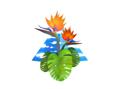 Paradise bermuda california flower illustration majestic palm paradise procreate tropical