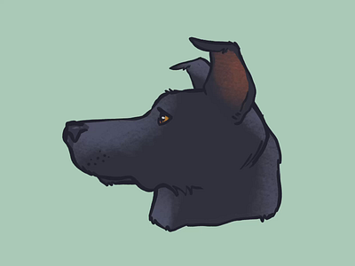 Weekly Warmup - #22 Rhodey animation dog graphic illustration procreate shepherd