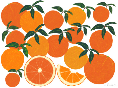 Orange Harvest citrus food food illustration fruit illustration oranges