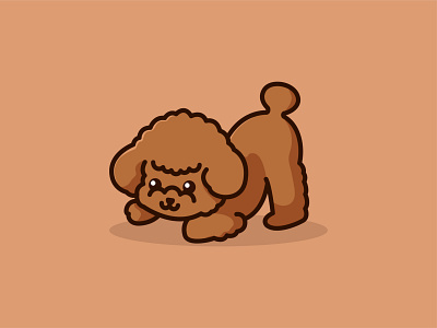 Poodle Cute