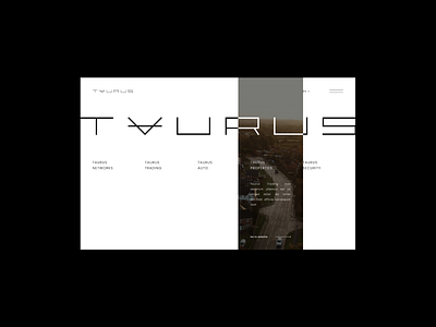 Taurus Group grid grid layout luxury design minimal design minimalism typography ui ux webdesign website design