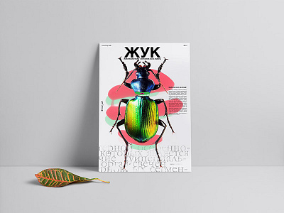 beetle adobe art design font nature people poster