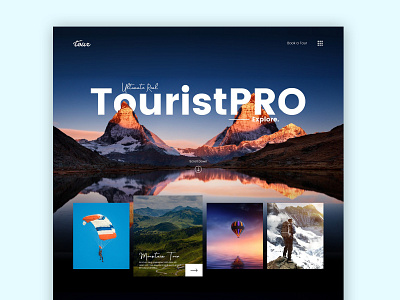 TouristPro Tour UI design deisgn dribbler dribblers illustration landing tourist ui ux web web design