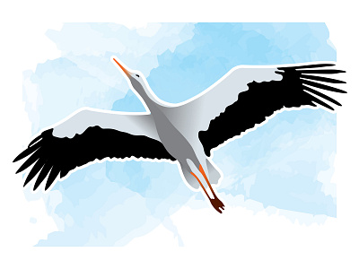 Stork Illustration illustration stork vector