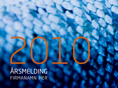 Excerpt from an annual report blue orange print