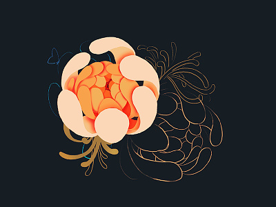 Orange Blossom art design floral flowers illustrate illustration orange outline photoshop sketch