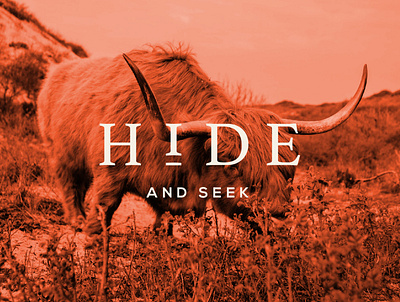Hide - Social Graphic branding design identity logo social media type
