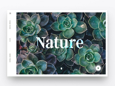 Visual Design Nature