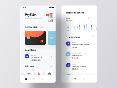 Personal Account Manager App Ui