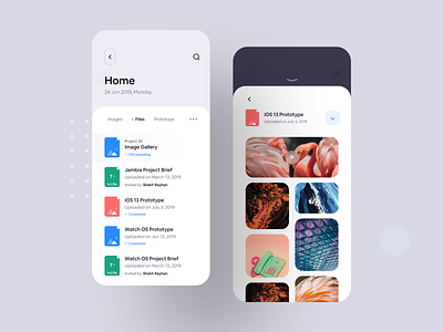 File Sharing iOS App Concept