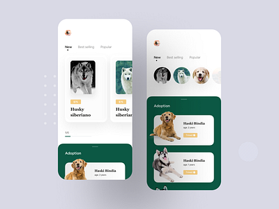 Pet Adoption App Concept